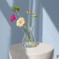 6x Wazon 35445 Sofia 18 cm Glasset