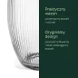 6x Wazon ryflowany 35503 Lyra 19.8 cm Glasset