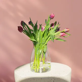 6x Wazon 35162 Flor 20 cm Glasset