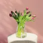 6x Wazon 35162 Flor 20 cm Glasset