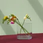 6x Wazon 35096 Luca 19 cm Glasset
