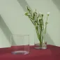 6x Wazon 35096 Luca 19 cm Glasset