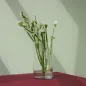 5x Wazon 35940 Luca 29.5 cm Glasset