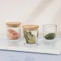 6x Pojemniki na przyprawy 70053 Frisk 8 cm 3 sztuki Glasset