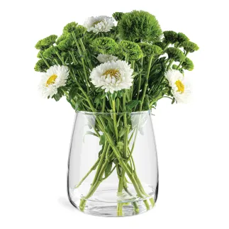 5x Wazon 35012 Emma 17 cm Glasset