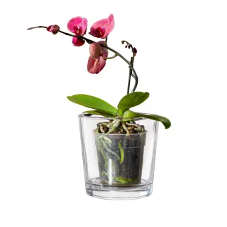 20x Pojemnik dekoracyjny 70140, 16cm