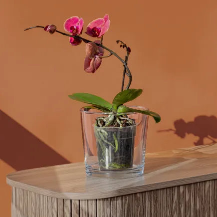 20x Pojemnik dekoracyjny 70140, 16cm