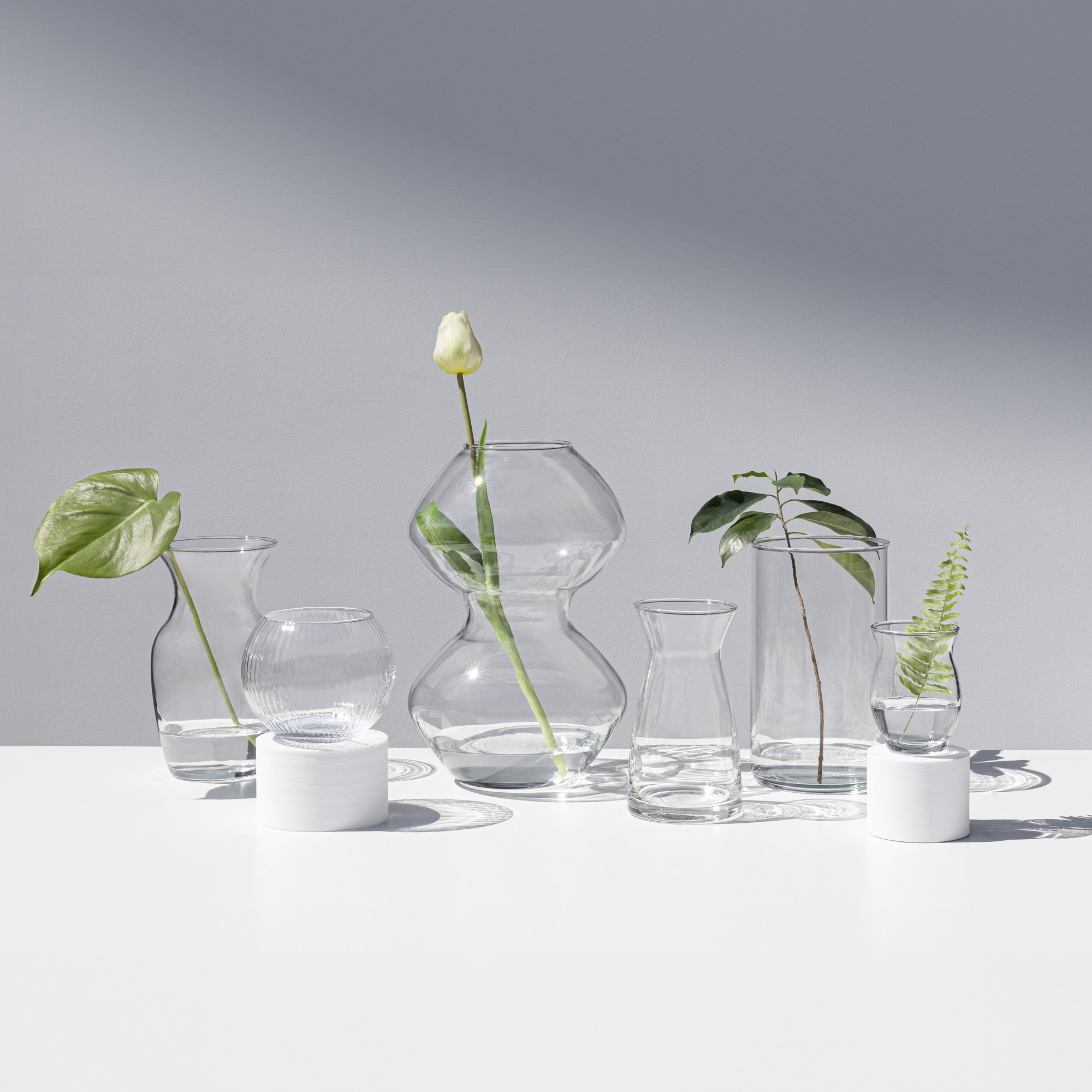 Decor & flora